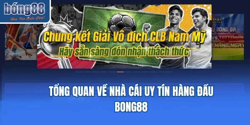 Tổng quan về nhà cái uy tín hàng đầu Bong88